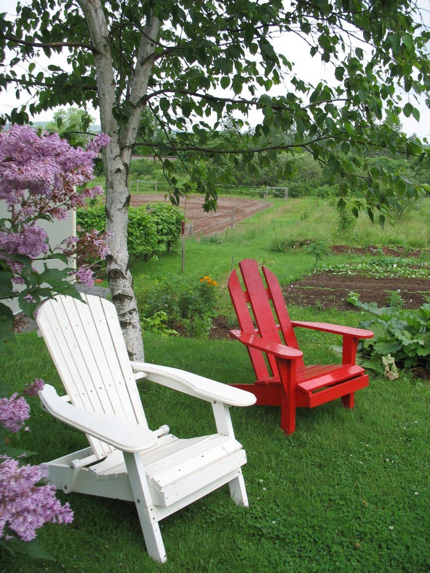 The Nelson House Bed And Breakfast Stewiacke Exterior foto