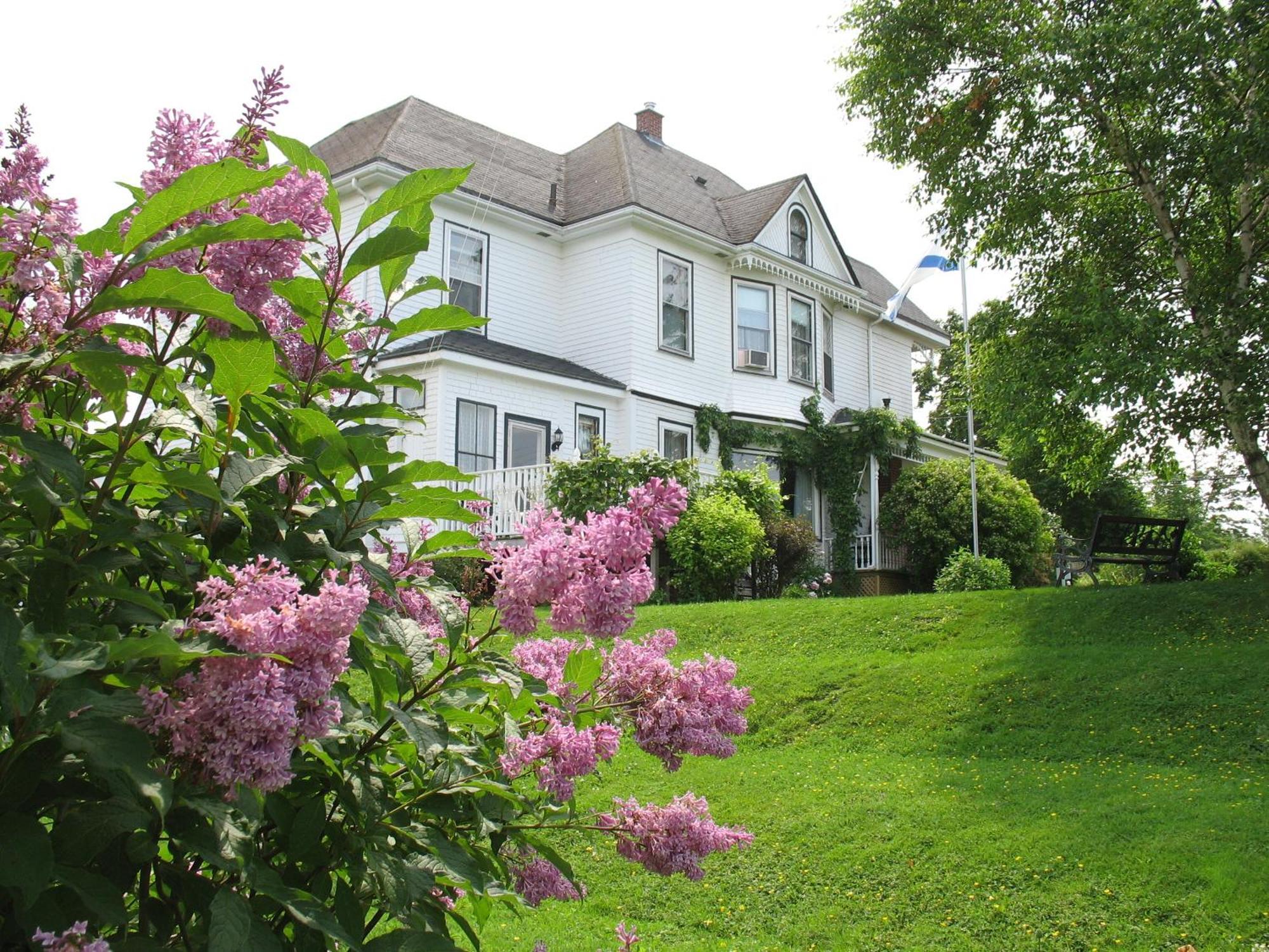 The Nelson House Bed And Breakfast Stewiacke Exterior foto